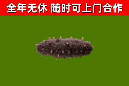 施秉烟酒回收干海参.jpg